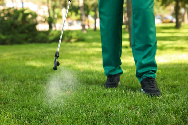 Best Affordable Pest Control Services  in Valdosta, GA