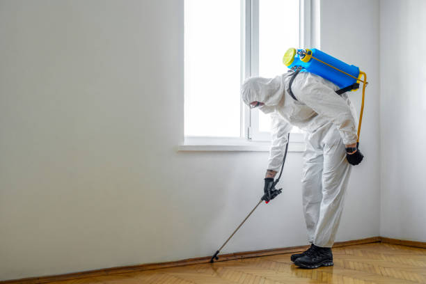 Best Bed Bug Extermination  in Valdosta, GA