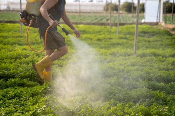 Best Pest Control Cost  in Valdosta, GA