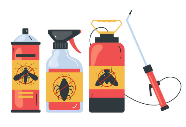 Best Spider Control Near Me  in Valdosta, GA